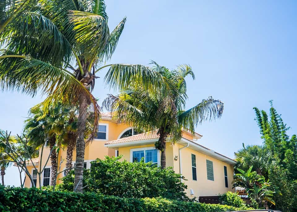 wind blows palm trees in the sun in front of florida home